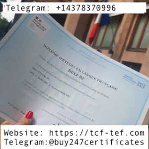 DELF (Diplôme d'Études en Langue Française) delf (diplôme d'Études en langue française)