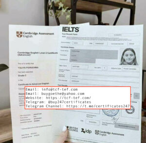 IELTS Certificate – (International English Language Testing System) Website: https://tcf-tef.com/. Buy Original IELTS certificate without exam