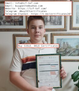 siele certificado (servicio internacional de evaluación de la lengua española)