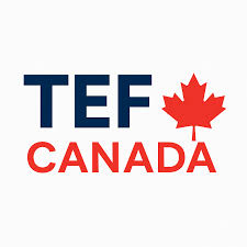 Telegram: @buy247certificates. Buy TEF certificate