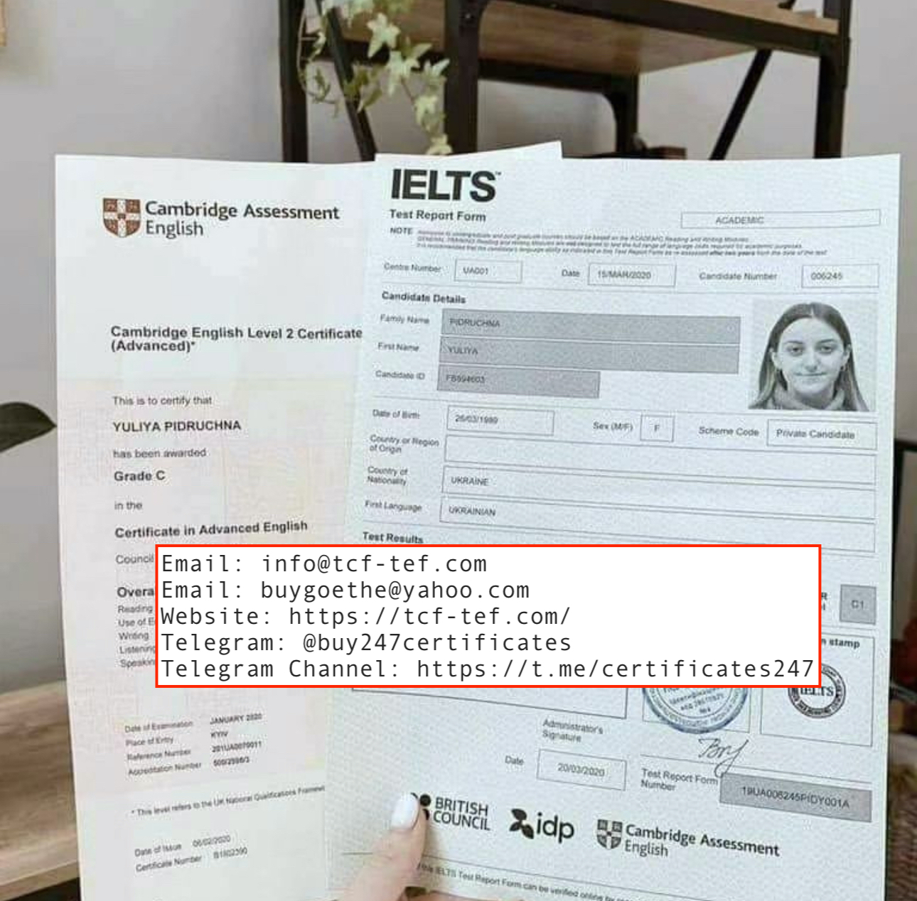 Home Website: https://tcf-tef.com/. Buy Original IELTS certificate without exam